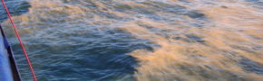 Coloring the water, the algae Phaeocystis blooms off the side of the sampling vessel, Polarstern, in the temperate region of the North Atlantic. (Katrin Schmidt)